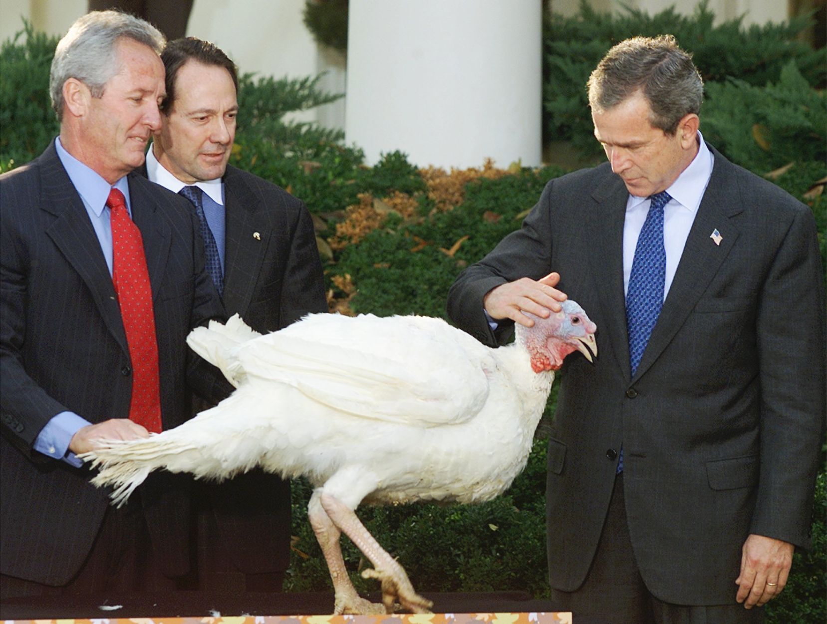 Bush turkey pardon, 2001